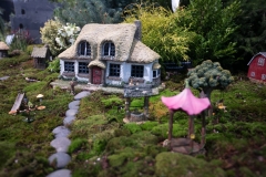 Fairy Garden House